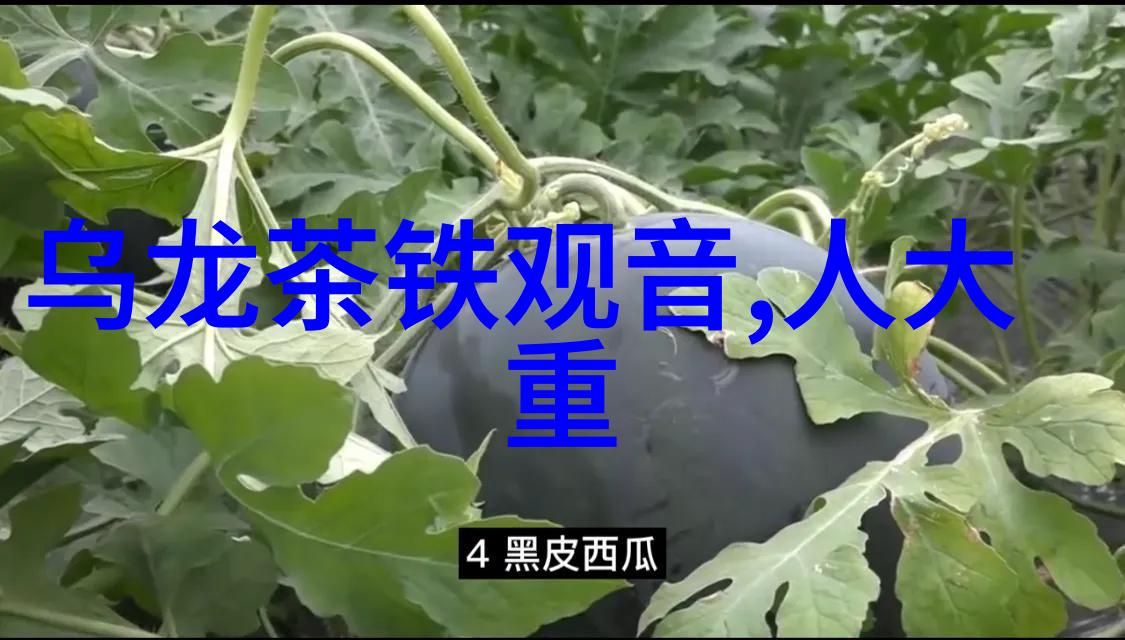 闲说紫砂壶原材料紫砂泥